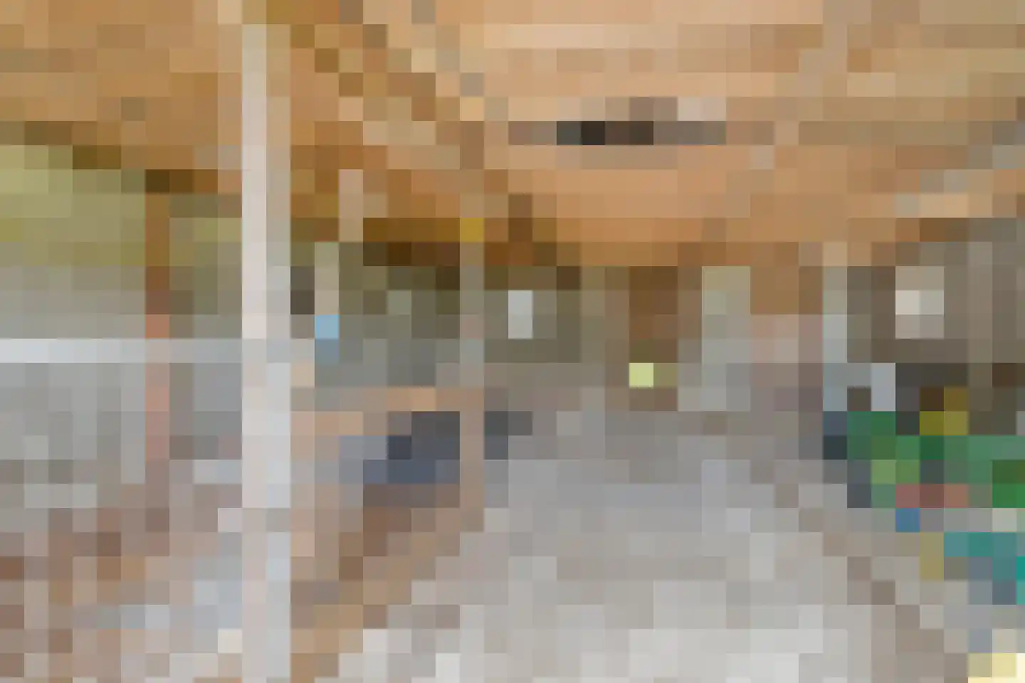 de Haspel 27 Zevenhuizen thumbnail 67
