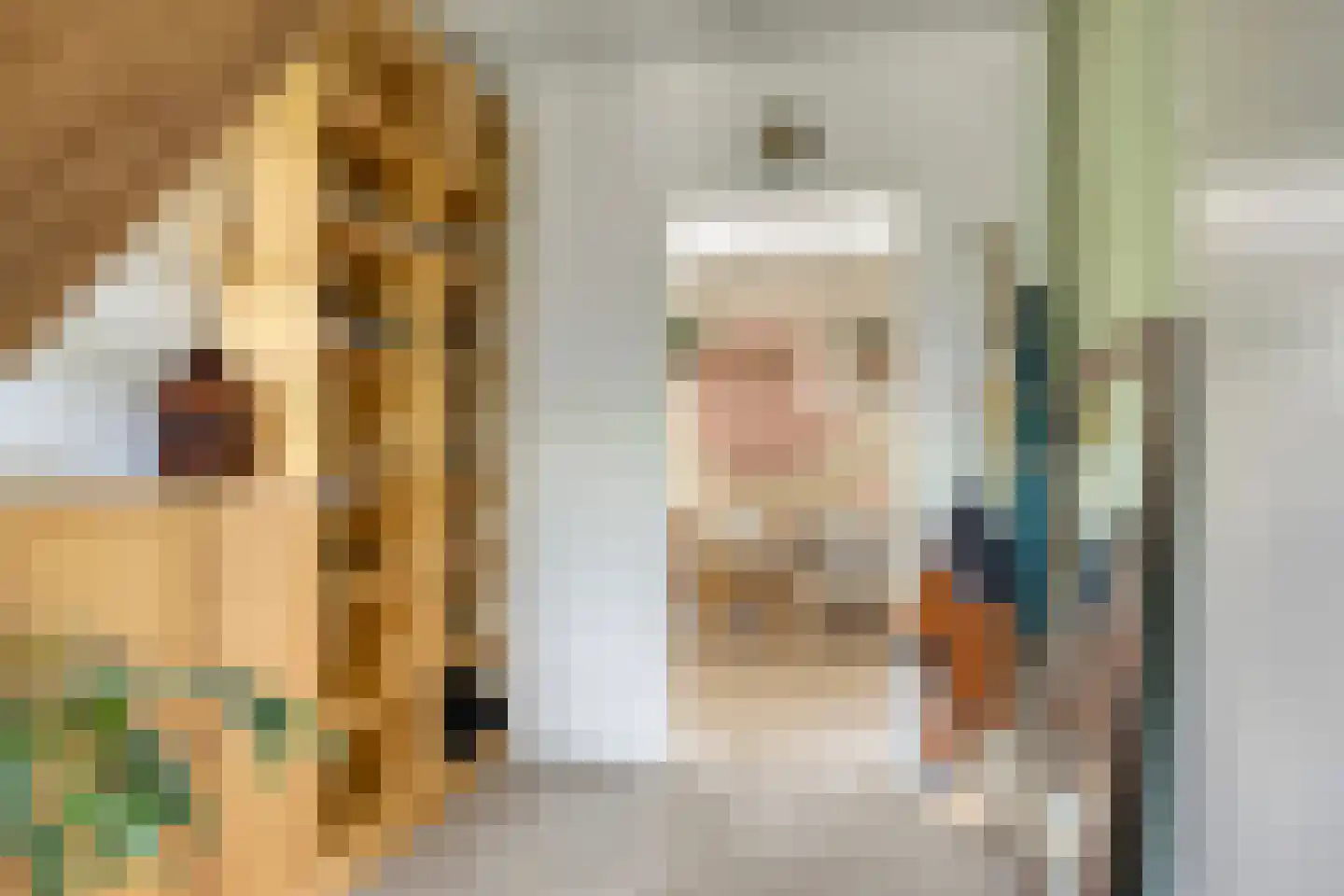 de Haspel 28 Zevenhuizen thumbnail 11