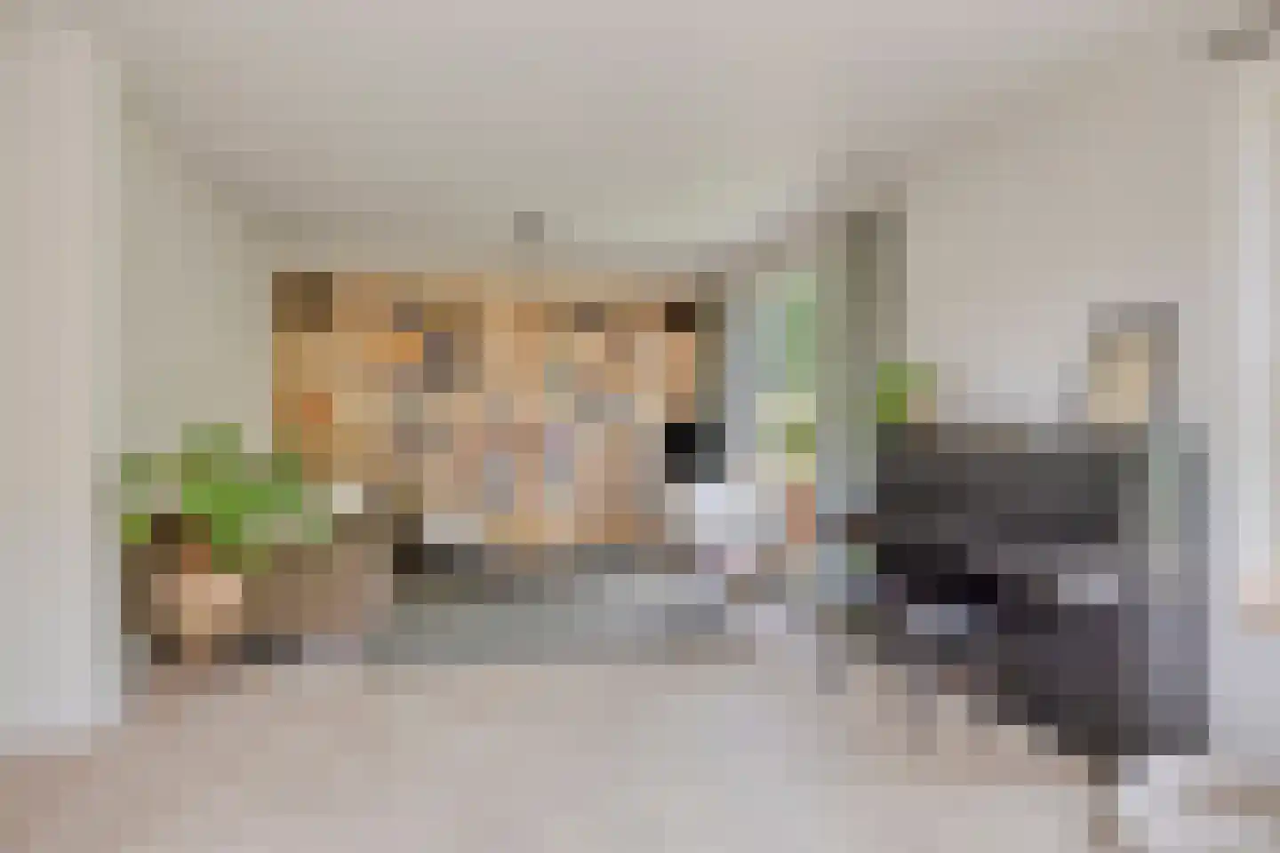 de Haspel 28 Zevenhuizen thumbnail 15