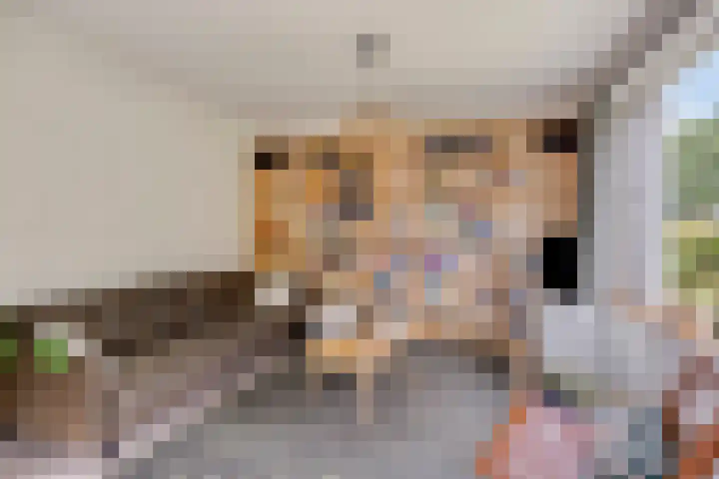 de Haspel 28 Zevenhuizen thumbnail 16