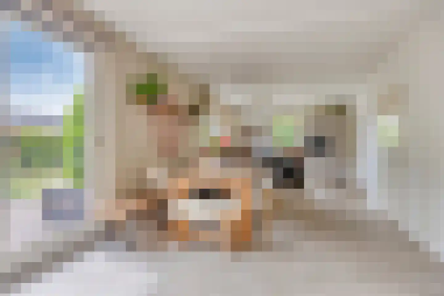de Haspel 28 Zevenhuizen thumbnail 17