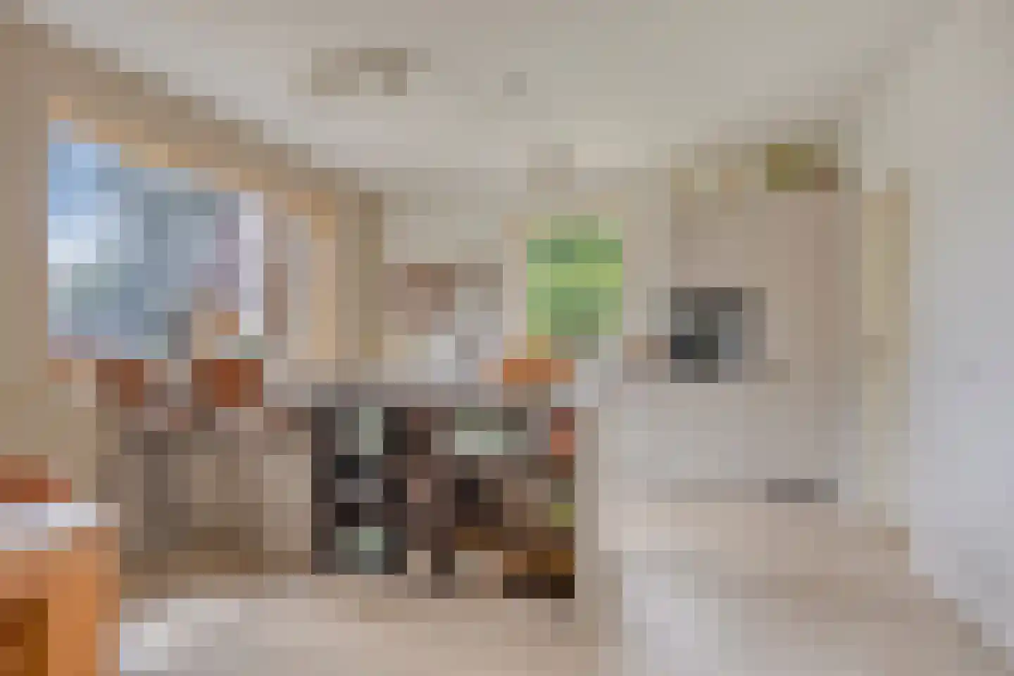 de Haspel 28 Zevenhuizen thumbnail 19