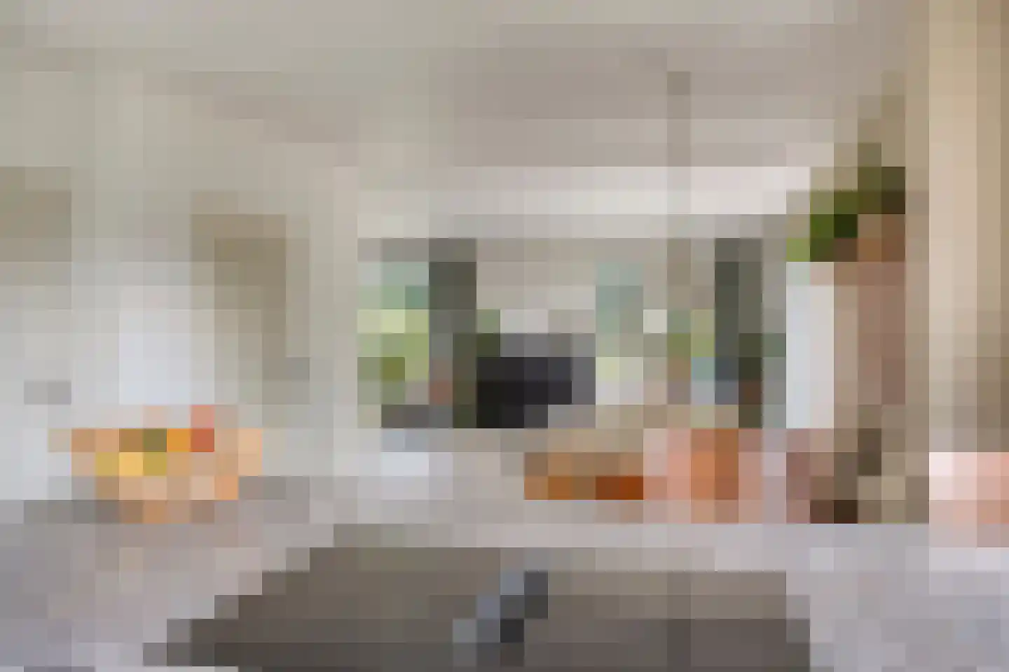 de Haspel 28 Zevenhuizen thumbnail 21