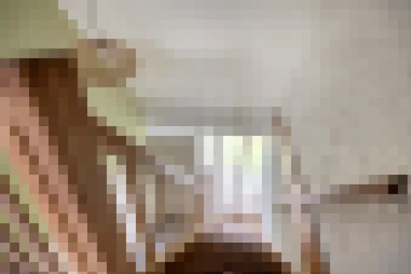 de Haspel 28 Zevenhuizen thumbnail 29