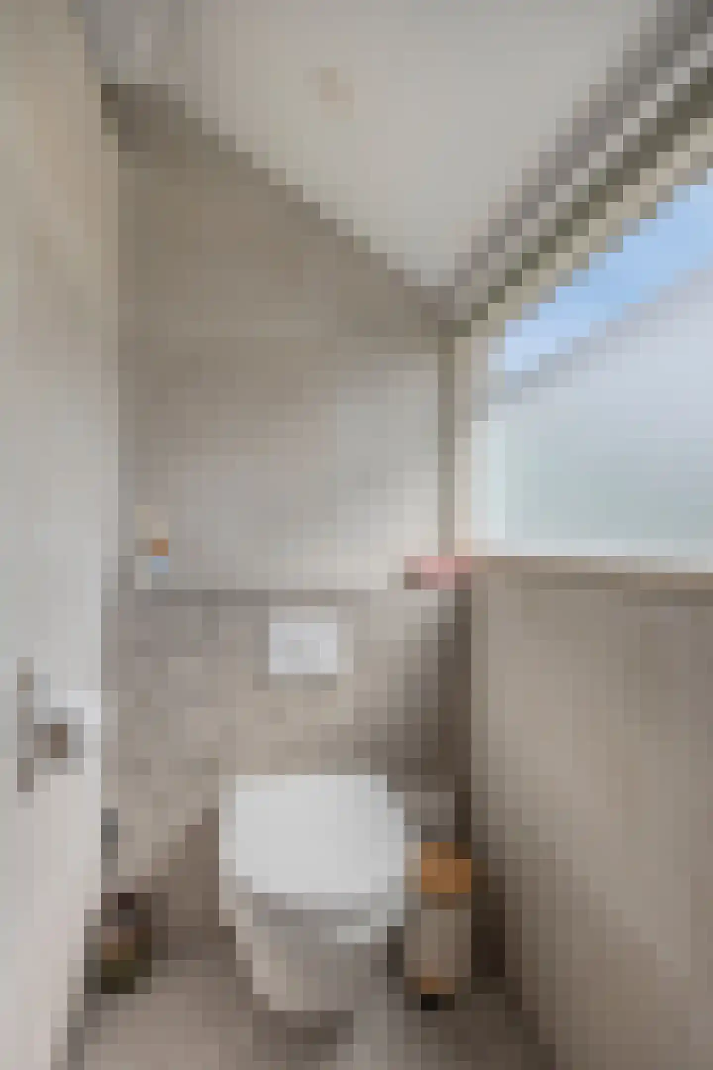 de Haspel 28 Zevenhuizen thumbnail 36