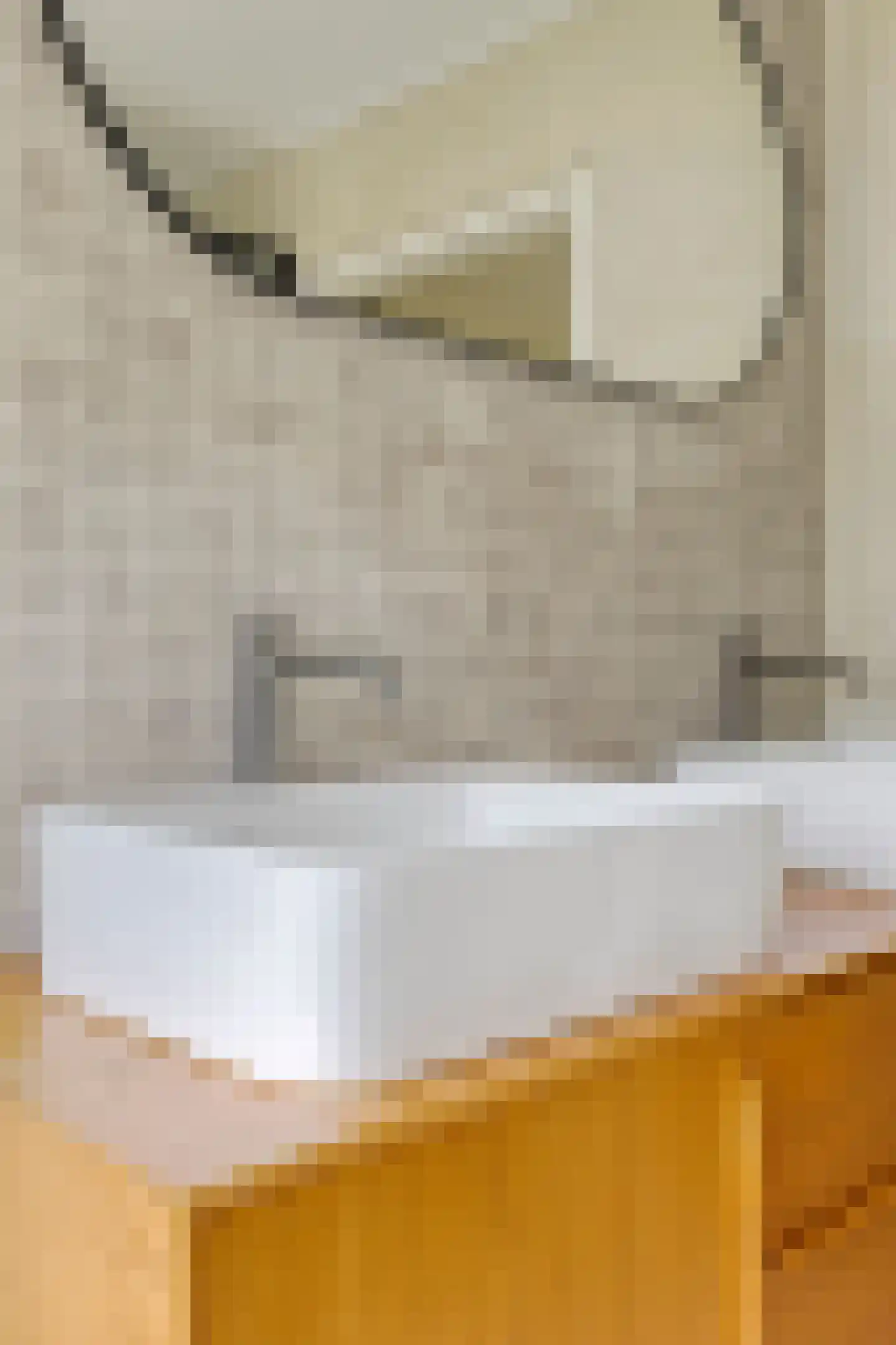 de Haspel 28 Zevenhuizen thumbnail 38
