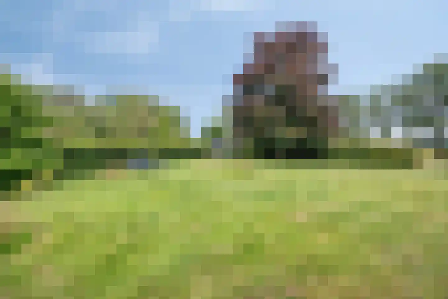 de Haspel 28 Zevenhuizen thumbnail 4