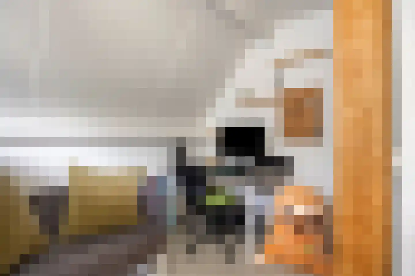 de Haspel 28 Zevenhuizen thumbnail 40