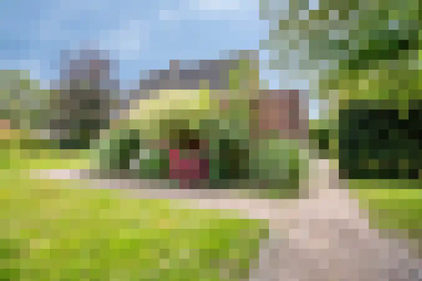 de Haspel 28 Zevenhuizen thumbnail 47