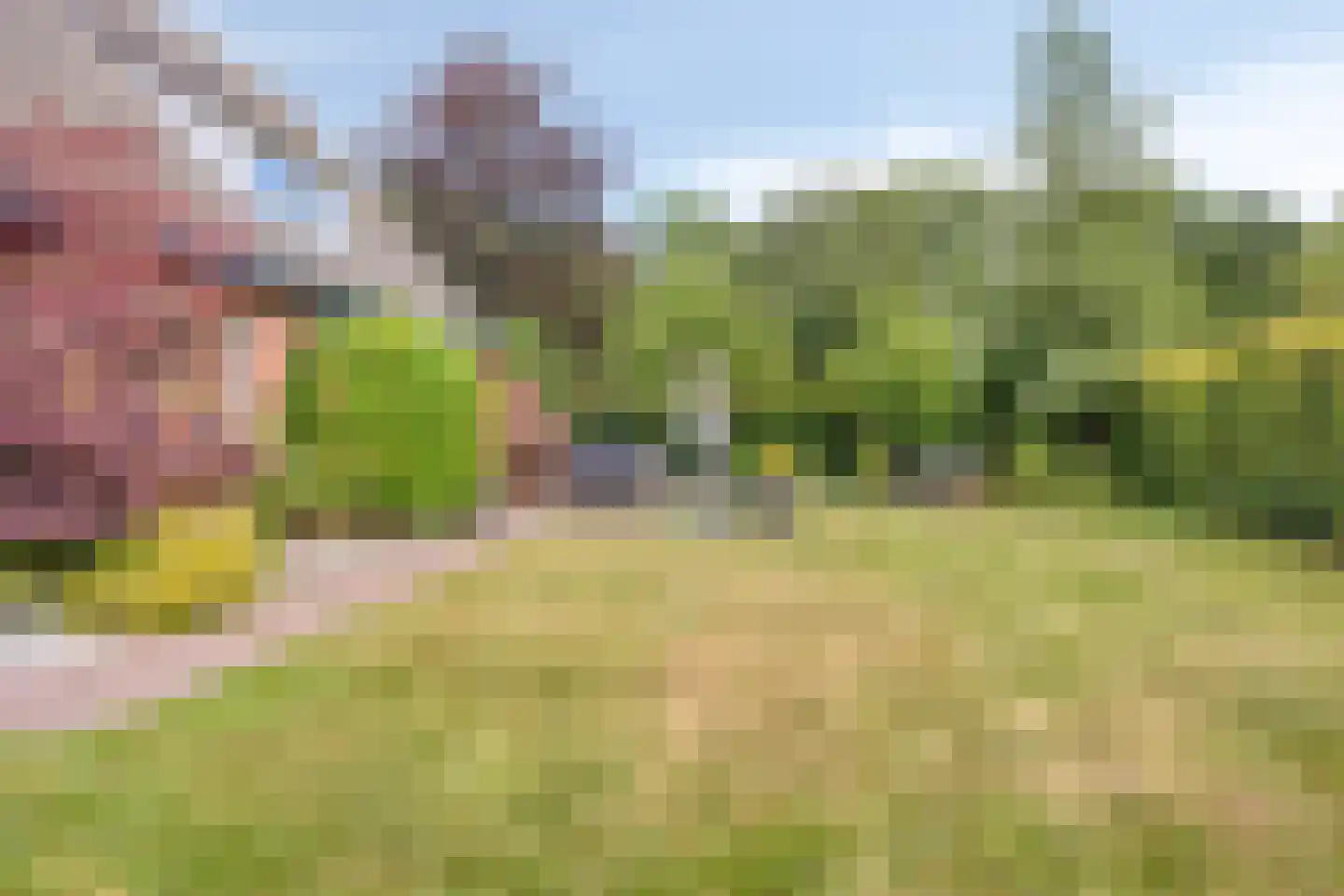 de Haspel 28 Zevenhuizen thumbnail 48