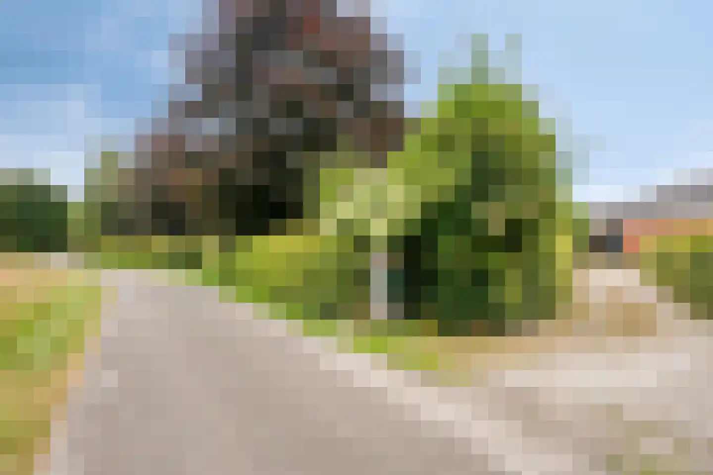 de Haspel 28 Zevenhuizen thumbnail 6