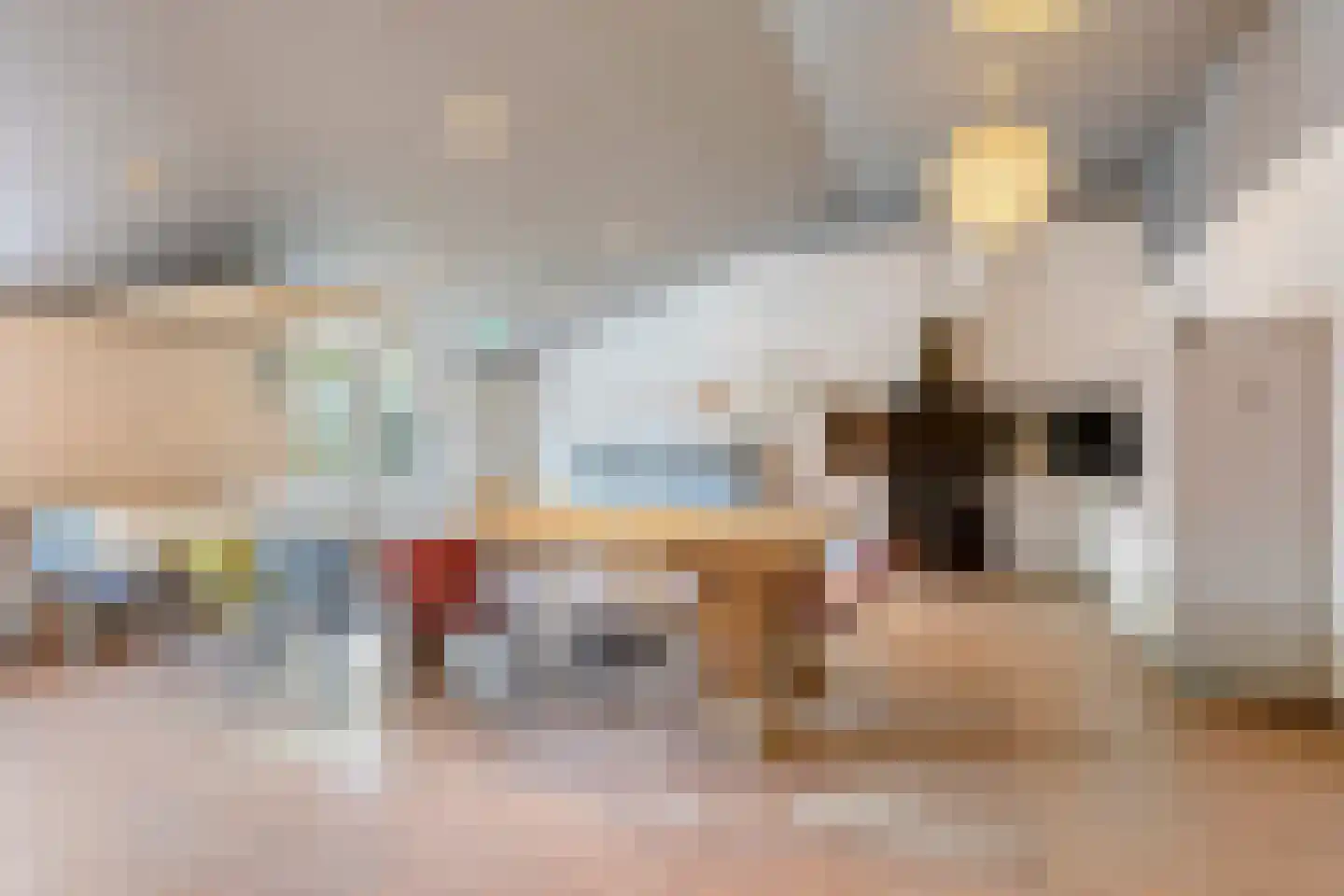de Haspel 28 Zevenhuizen thumbnail 60