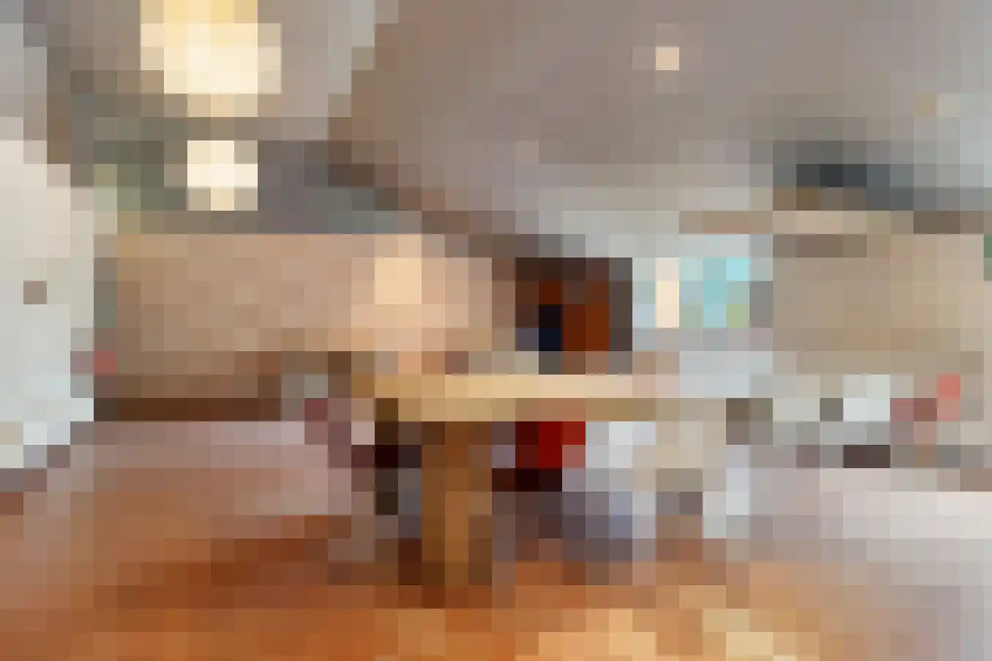 de Haspel 28 Zevenhuizen thumbnail 62