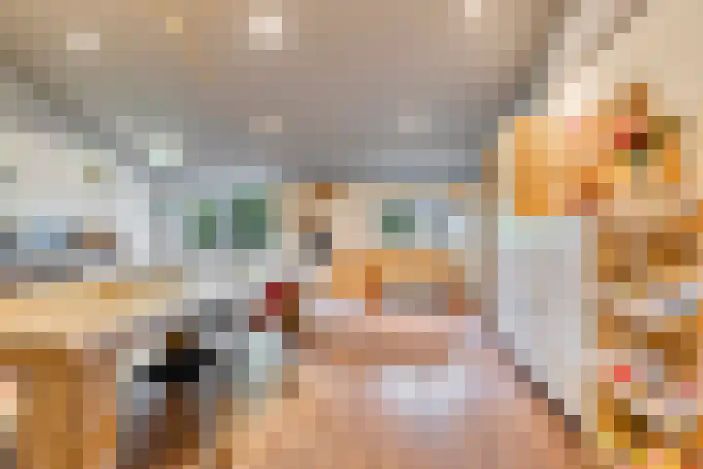 de Haspel 28 Zevenhuizen thumbnail 63