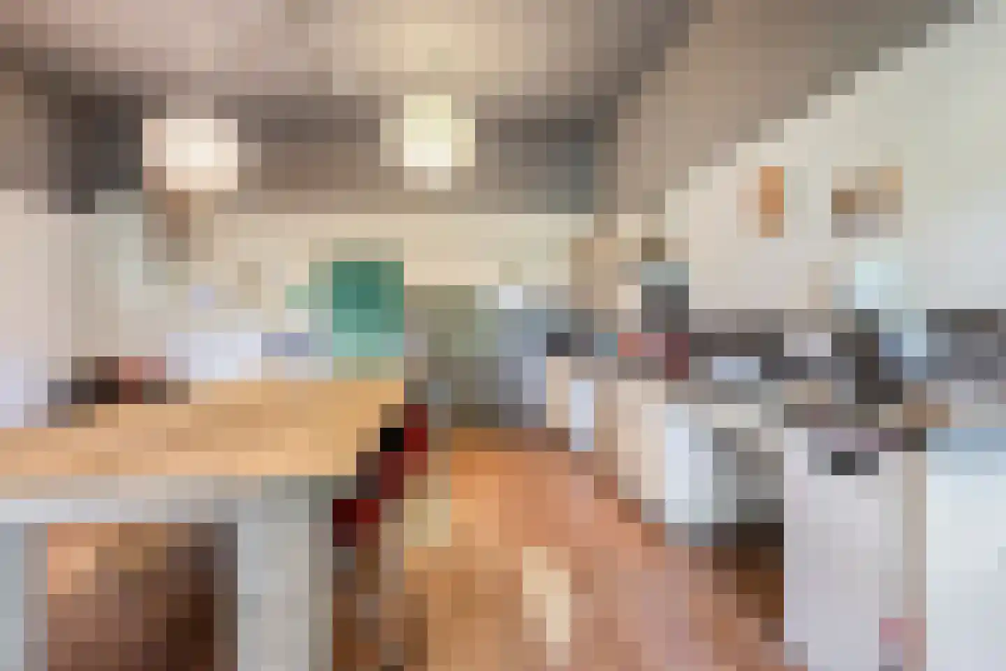 de Haspel 28 Zevenhuizen thumbnail 64
