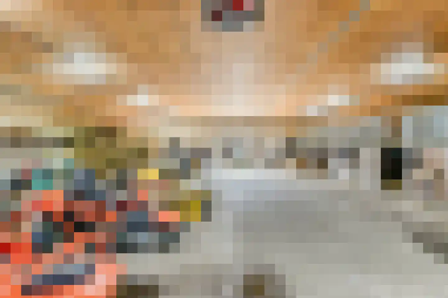 de Haspel 28 Zevenhuizen thumbnail 69