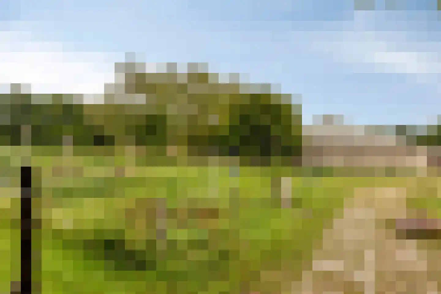 de Haspel 28 Zevenhuizen thumbnail 70