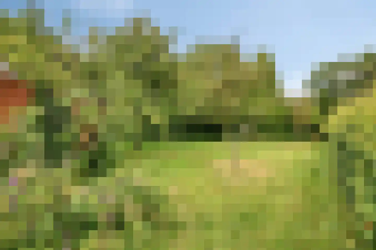 de Haspel 28 Zevenhuizen thumbnail 72