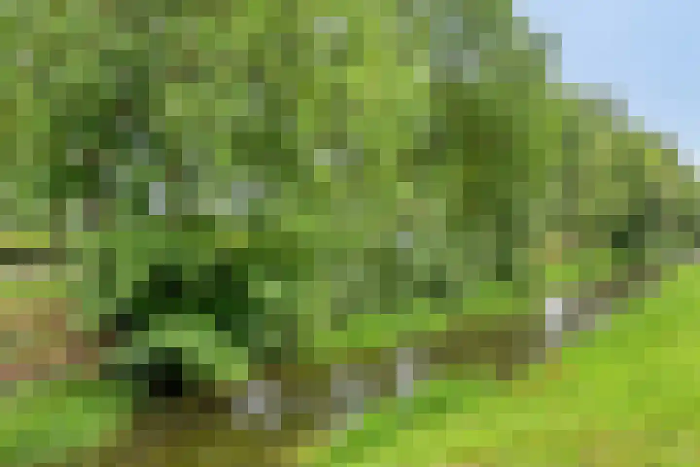 de Haspel 28 Zevenhuizen thumbnail 74