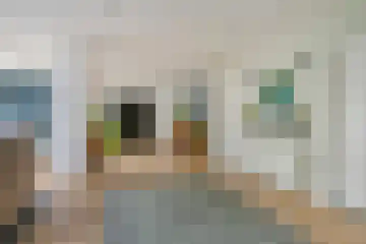 De Haspel 29 Bergeijk thumbnail 13