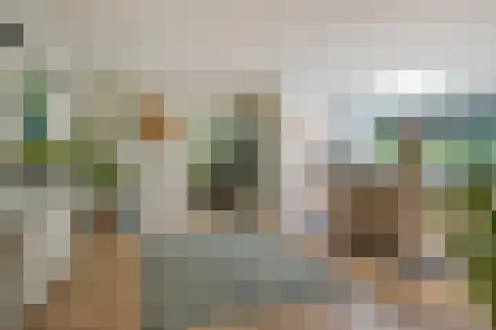De Haspel 29 Bergeijk thumbnail 14