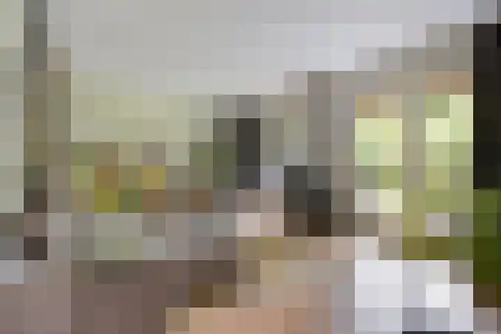 De Haspel 29 Bergeijk thumbnail 16