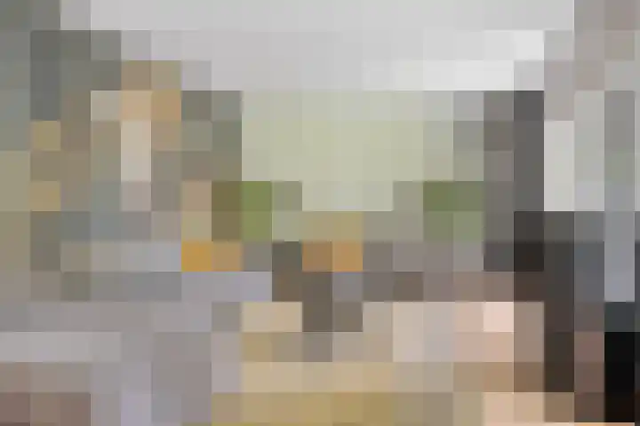 De Haspel 29 Bergeijk thumbnail 17