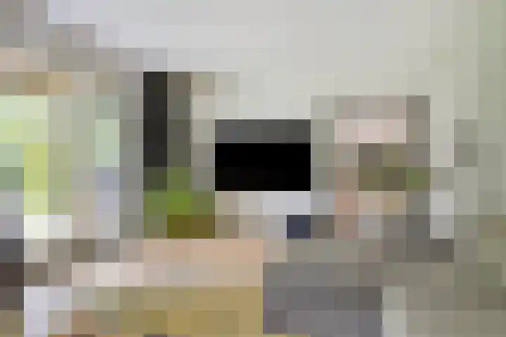 De Haspel 29 Bergeijk thumbnail 18