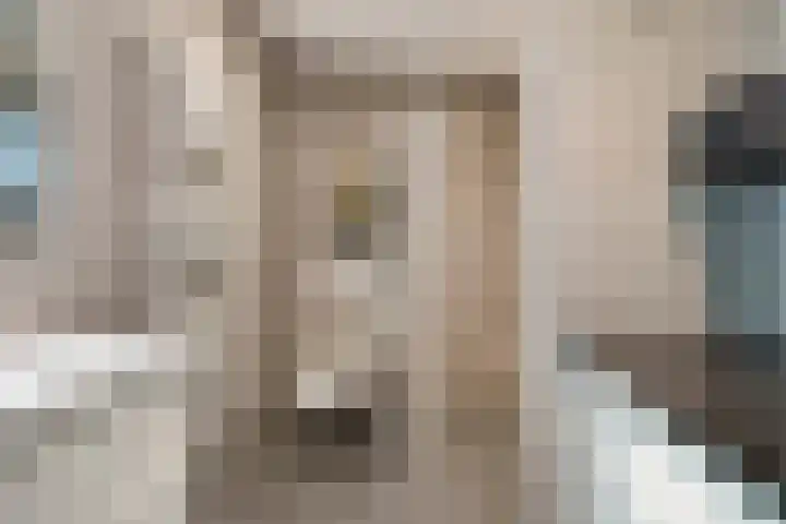 De Haspel 29 Bergeijk thumbnail 21