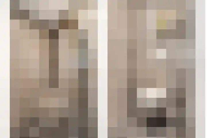 De Haspel 29 Bergeijk thumbnail 22