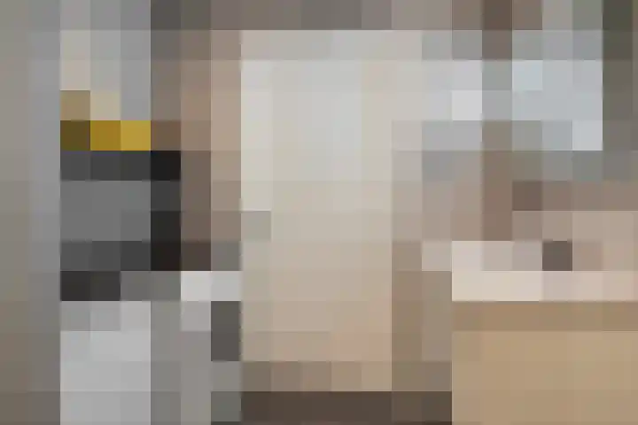 De Haspel 29 Bergeijk thumbnail 23