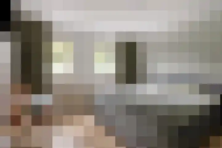 De Haspel 29 Bergeijk thumbnail 24