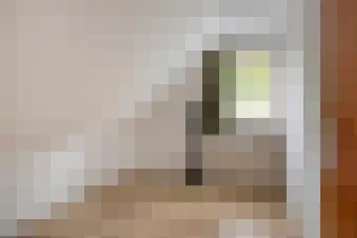De Haspel 29 Bergeijk thumbnail 26