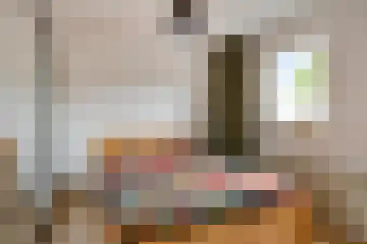 De Haspel 29 Bergeijk thumbnail 27