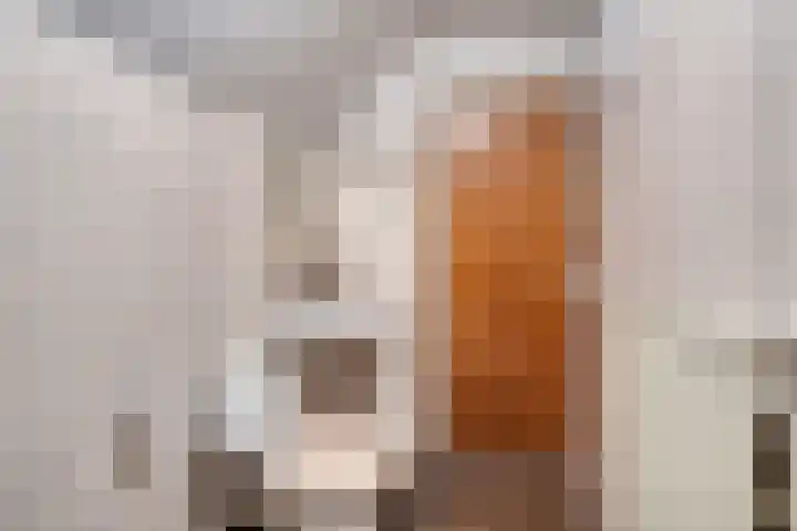De Haspel 29 Bergeijk thumbnail 28