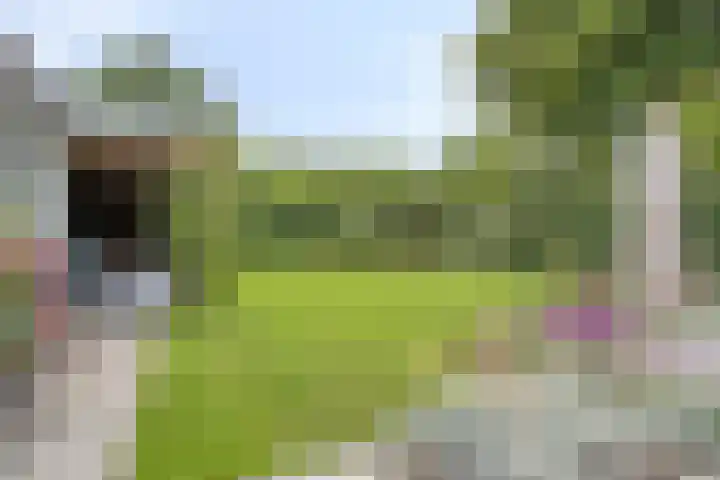 De Haspel 29 Bergeijk thumbnail 29
