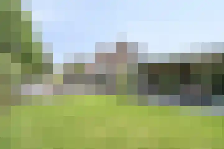 De Haspel 29 Bergeijk thumbnail 30