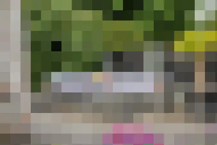 De Haspel 29 Bergeijk thumbnail 31