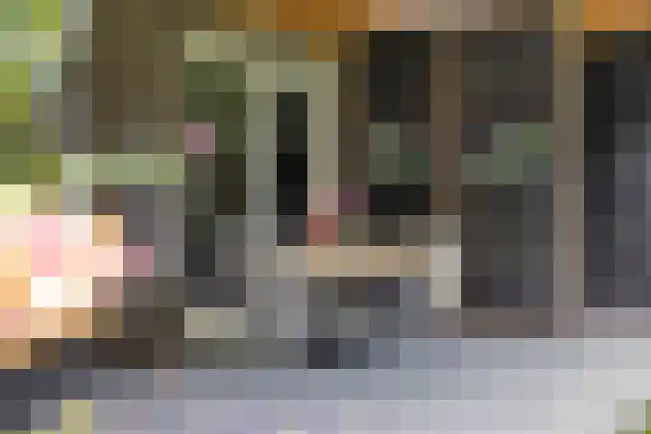De Haspel 29 Bergeijk thumbnail 32