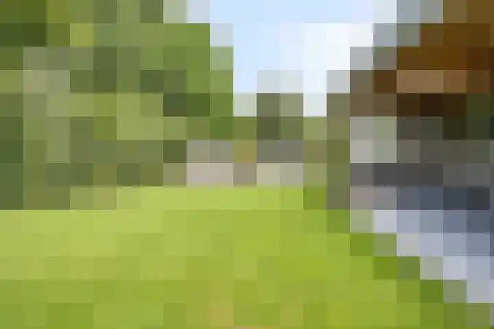 De Haspel 29 Bergeijk thumbnail 33