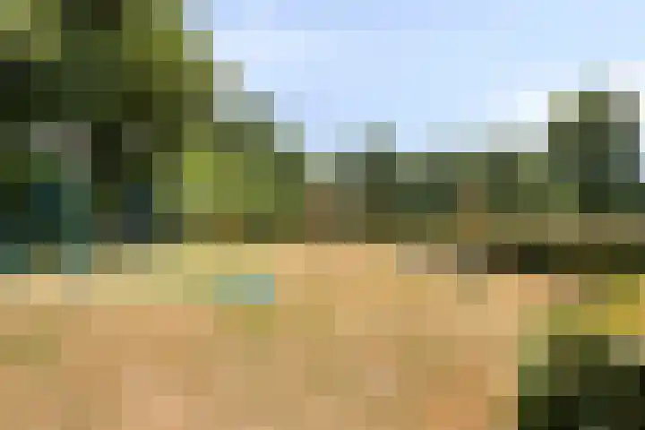 De Haspel 29 Bergeijk thumbnail 34