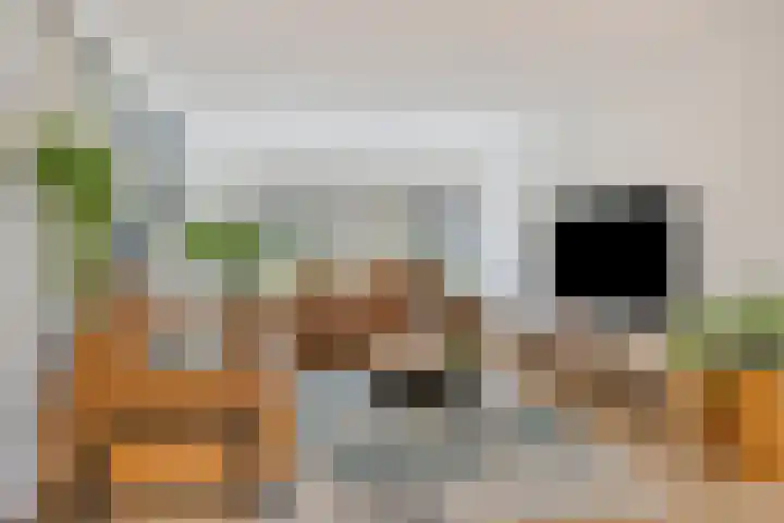 De Haspel 29 Bergeijk thumbnail 4