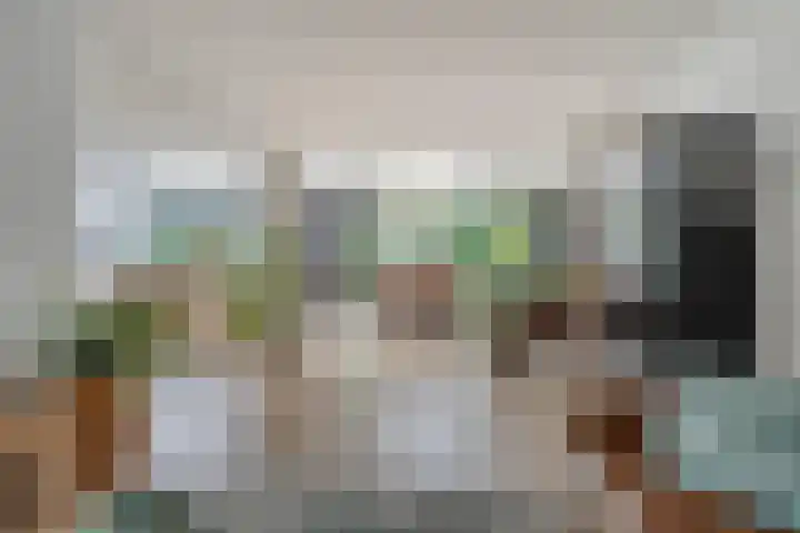 De Haspel 29 Bergeijk thumbnail 5