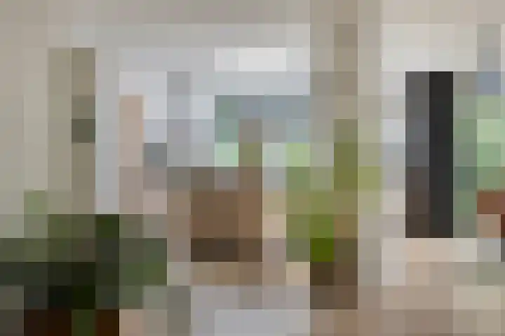 De Haspel 29 Bergeijk thumbnail 6