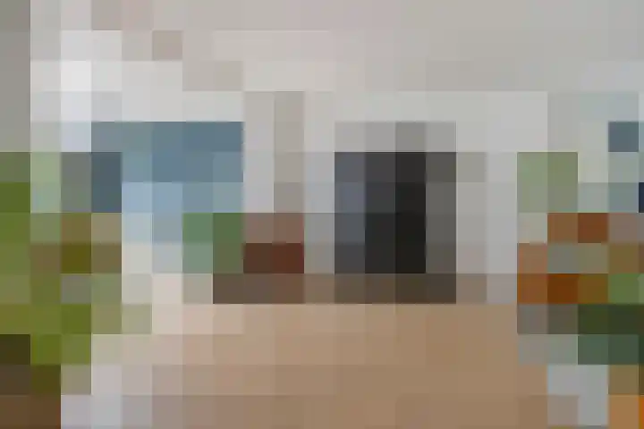 De Haspel 29 Bergeijk thumbnail 7