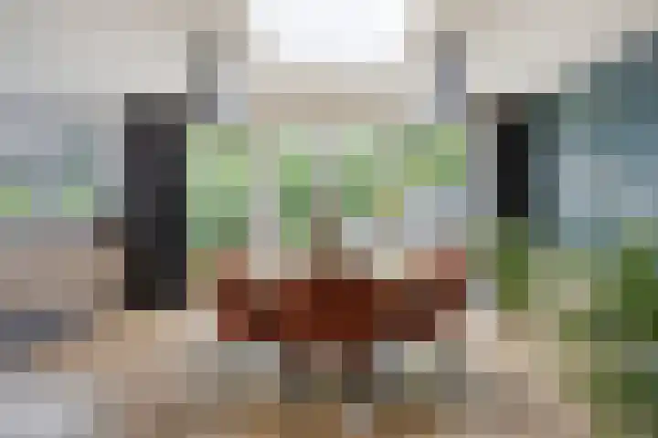 De Haspel 29 Bergeijk thumbnail 8