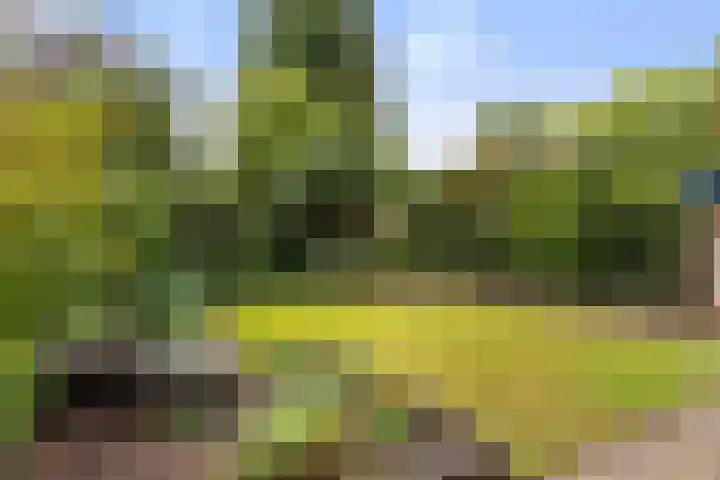 De Haspel 9 Arnhem thumbnail 39