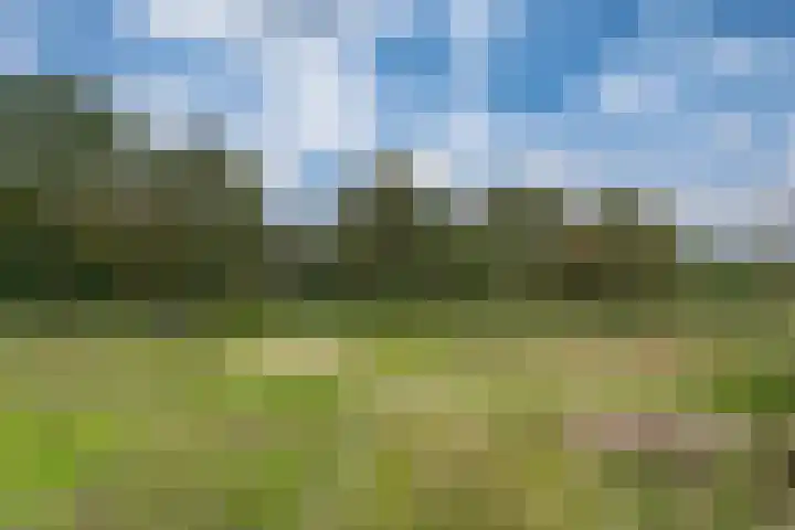 De Haspel 9 Arnhem thumbnail 43