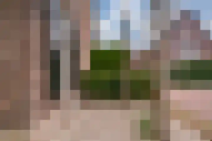 De Haspel 9 Arnhem thumbnail 44