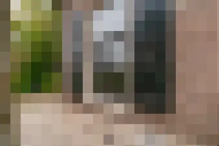 De Haspel 9 Arnhem thumbnail 8